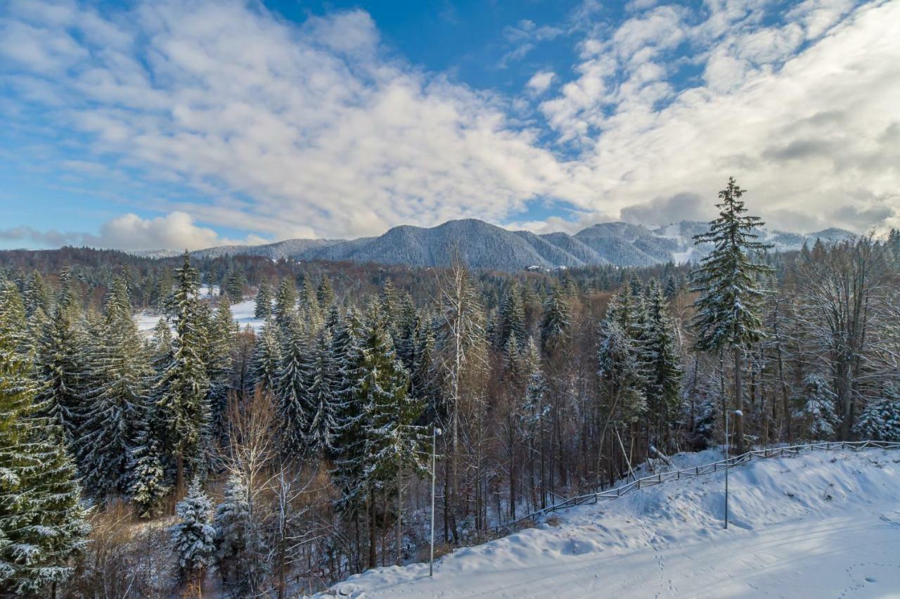 Forest Apartment Silver Mountain Resort Poiana Brasov Exterior photo
