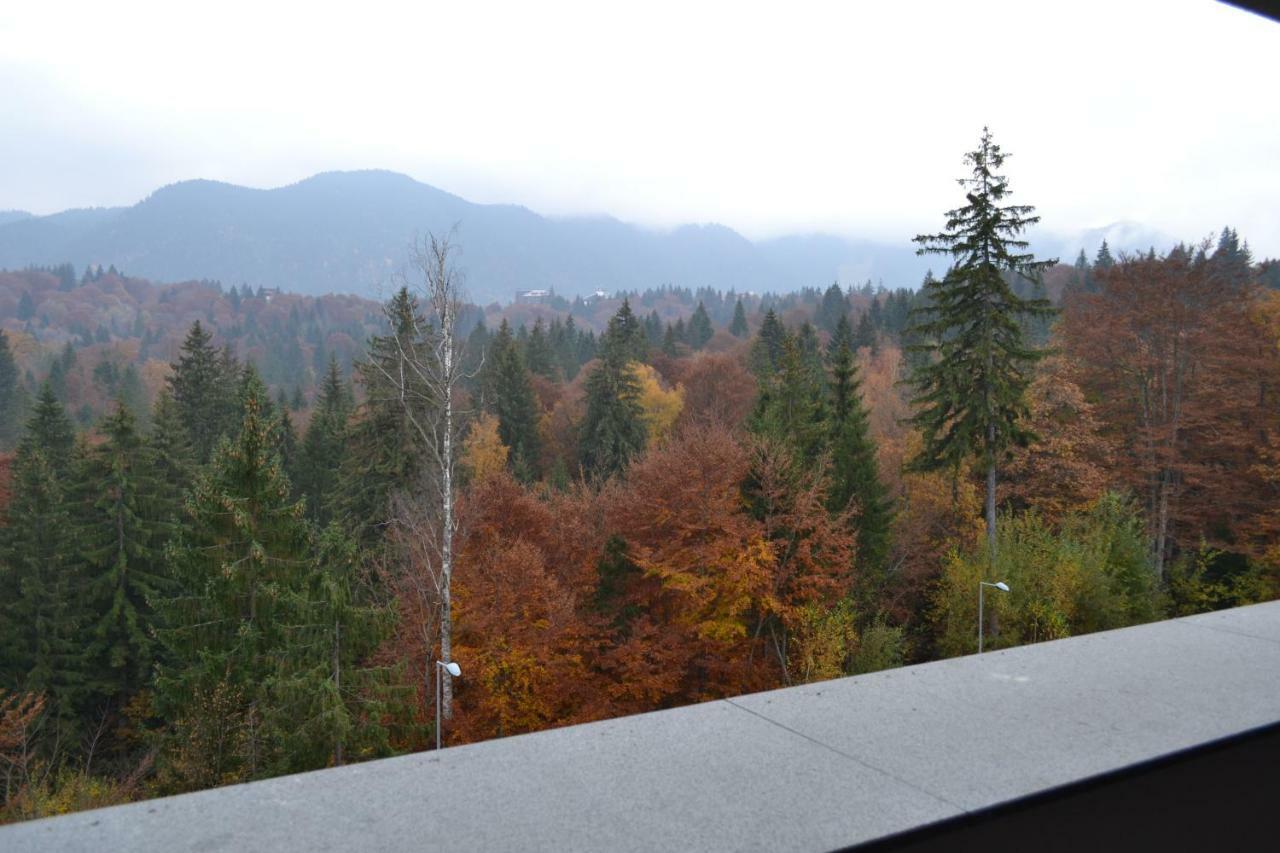 Forest Apartment Silver Mountain Resort Poiana Brasov Exterior photo