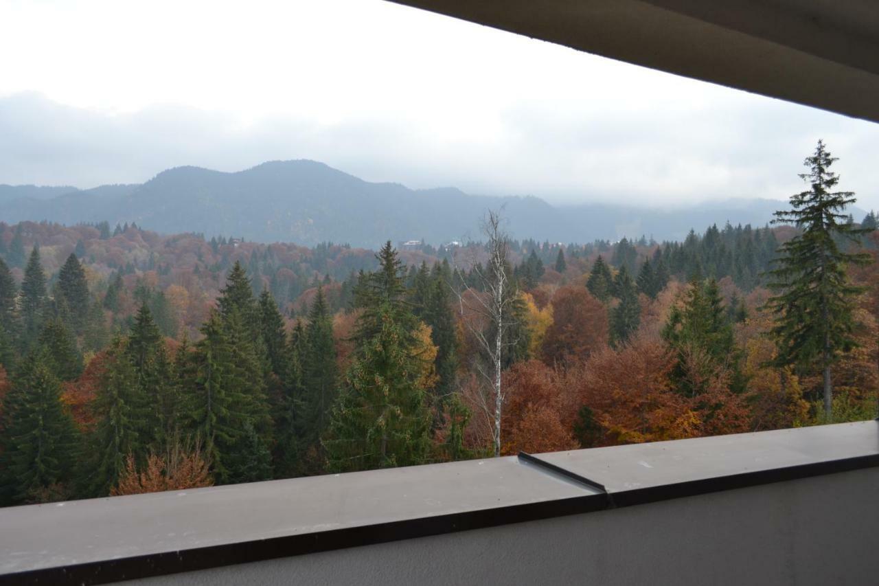 Forest Apartment Silver Mountain Resort Poiana Brasov Exterior photo